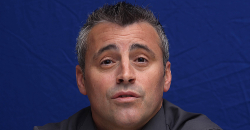 matt leblanc gray alt