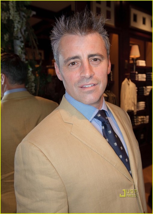 matt leblanc gray hair alt