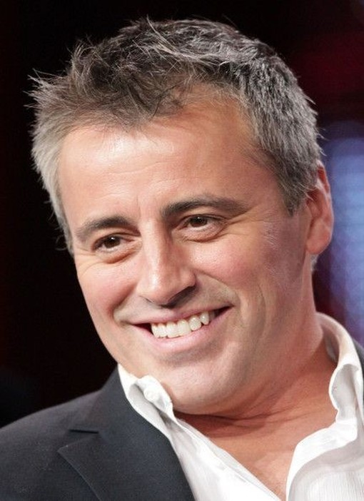 matt leblanc grey hair alt