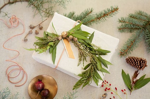 simone leblanc shimmy alt