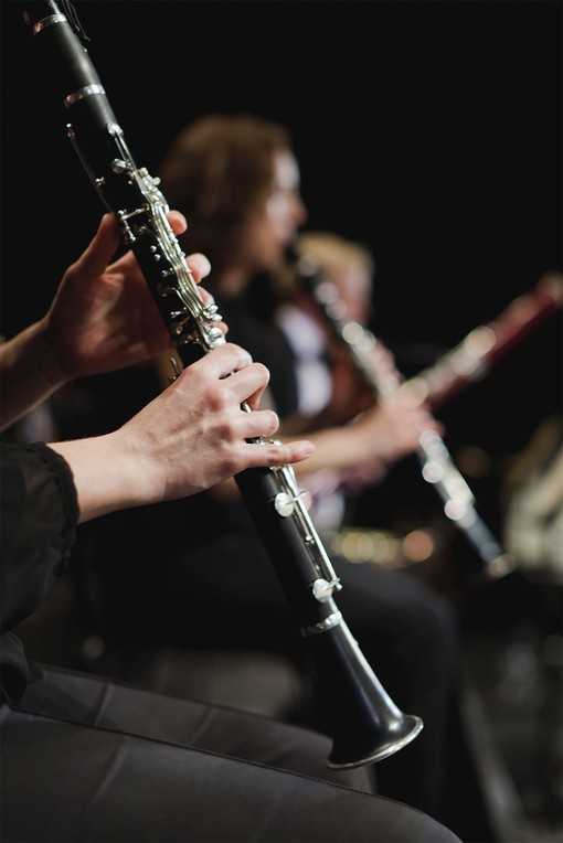 leblanc esprit clarinet alt
