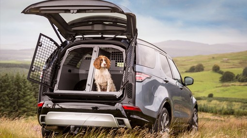 vauxhall astra estate dog guard alt